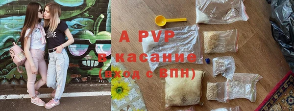 кокс Белокуриха