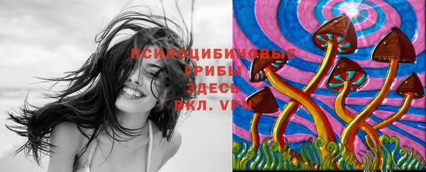 кокс Белокуриха