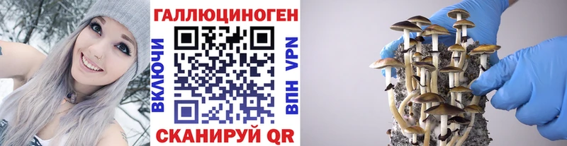 Галлюциногенные грибы прущие грибы  Еманжелинск 